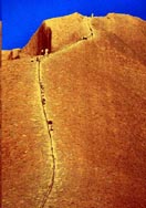 img11.gif