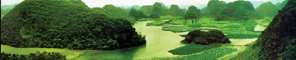 img1.gif