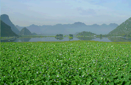 img7.gif